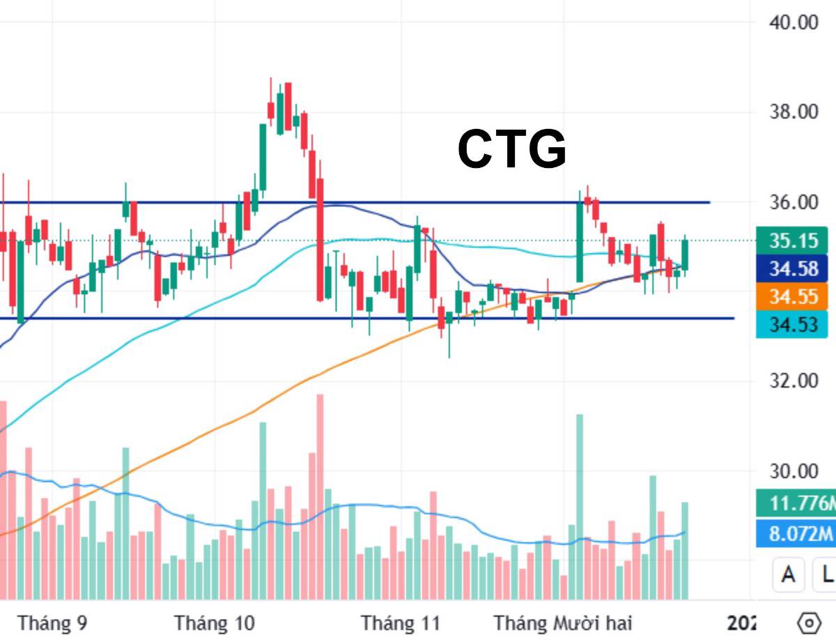 Nhóm “Đáng đầu tư” – Core, an toàn, phù hợp nắm giữ trung dài hạn