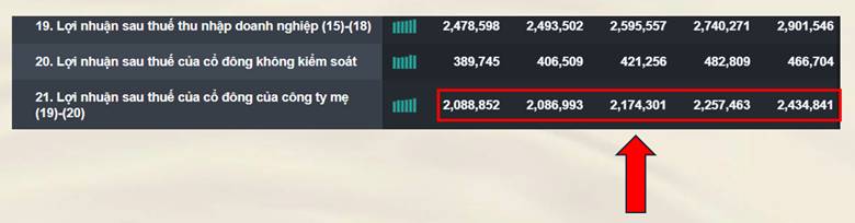 Lợi nhuận công ty tạo ra, có chắc... là của bạn?