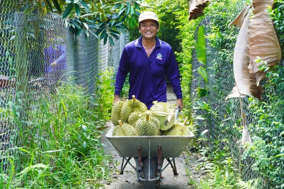Cà phê và sầu riêng bứt tốc, xuất khẩu nông sản tiến sát mốc kỷ lục