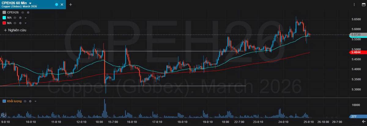 Bản Tin Nhóm Kim Loại Ngày 25/12/2025