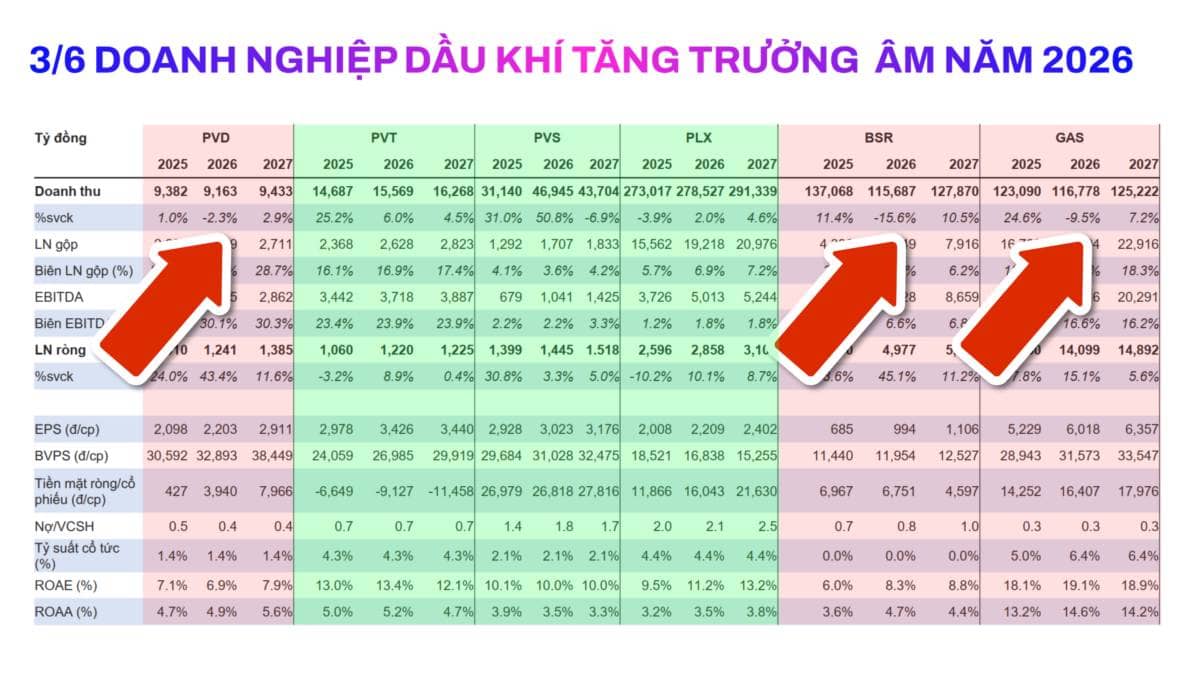 Suy giảm tăng trưởng nhưng giá cổ phiếu bùng nổ vượt đỉnh