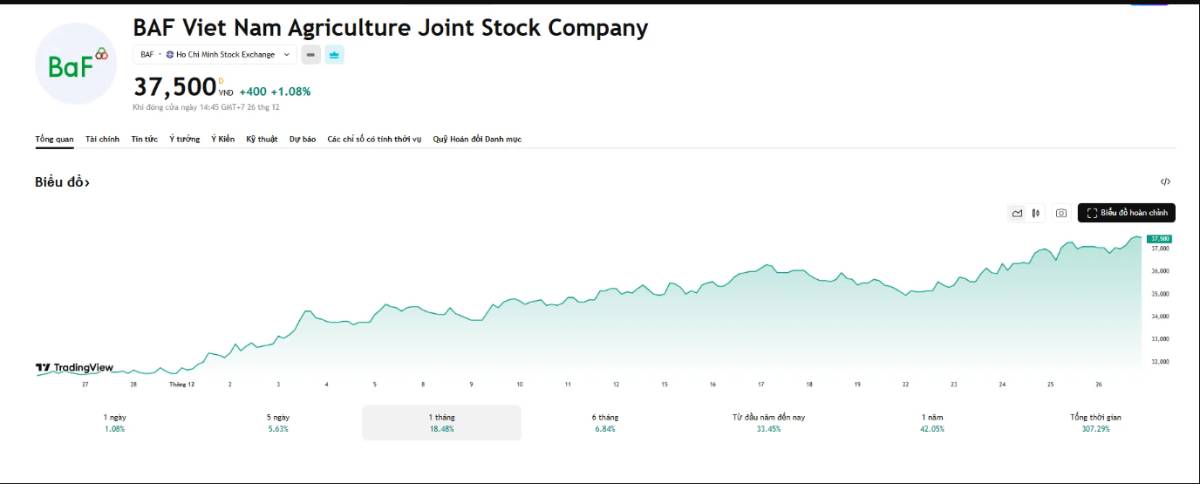 Giá heo hơi tăng trở lại: Cơ hội có chọn lọc cho cổ phiếu chăn nuôi. Đà phục hồi mạnh của giá heo hơi  ...