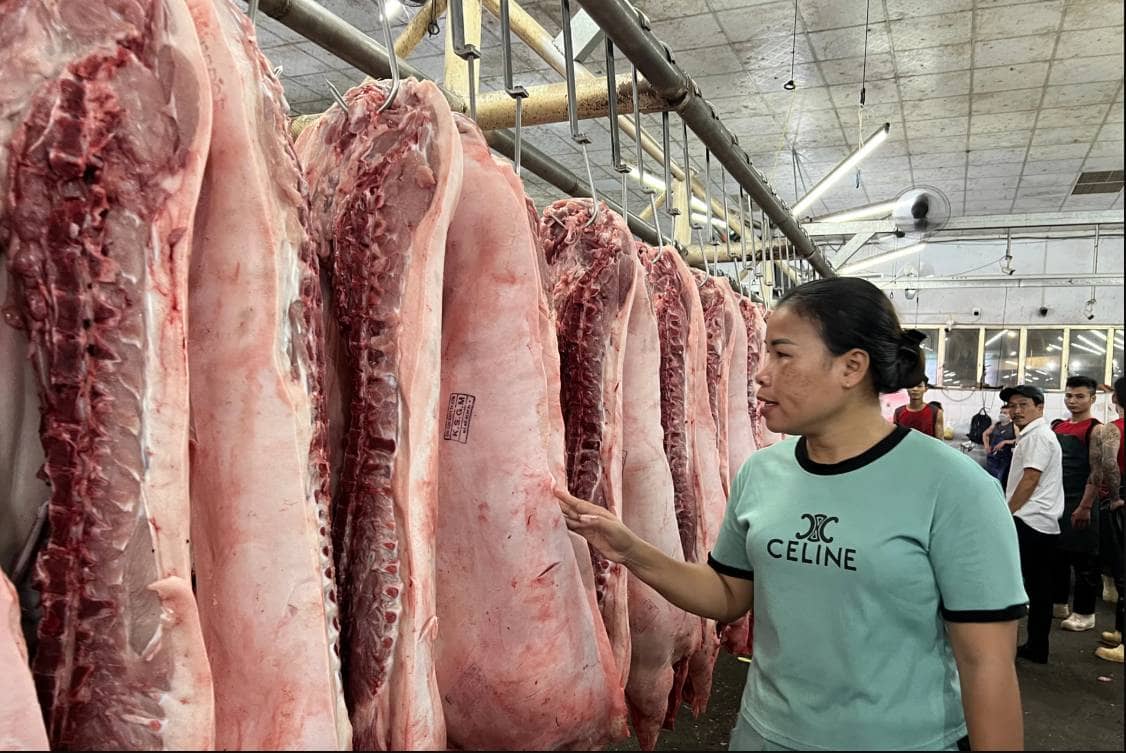 Giá heo hơi tăng trở lại: Cơ hội có chọn lọc cho cổ phiếu chăn nuôi. Đà phục hồi mạnh của giá heo hơi  ...