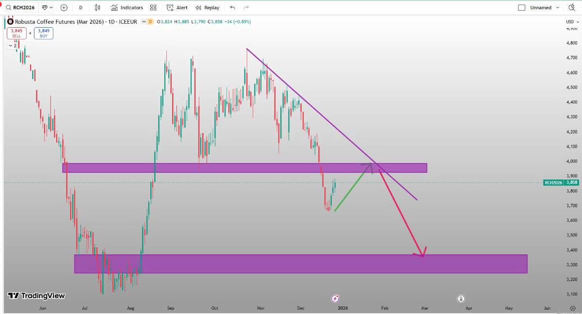 Giá cafe 29/12: Hạ nhiệt cận năm mới 2026?