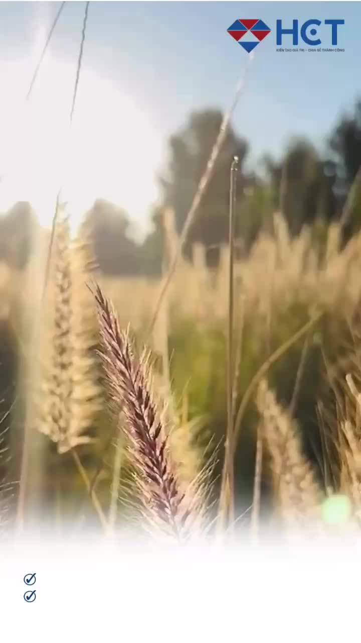 Diễn biến vị thế ròng của các quỹ đầu cơ trên thị trường ngũ cốc và hạt dầu Hoa Kỳ