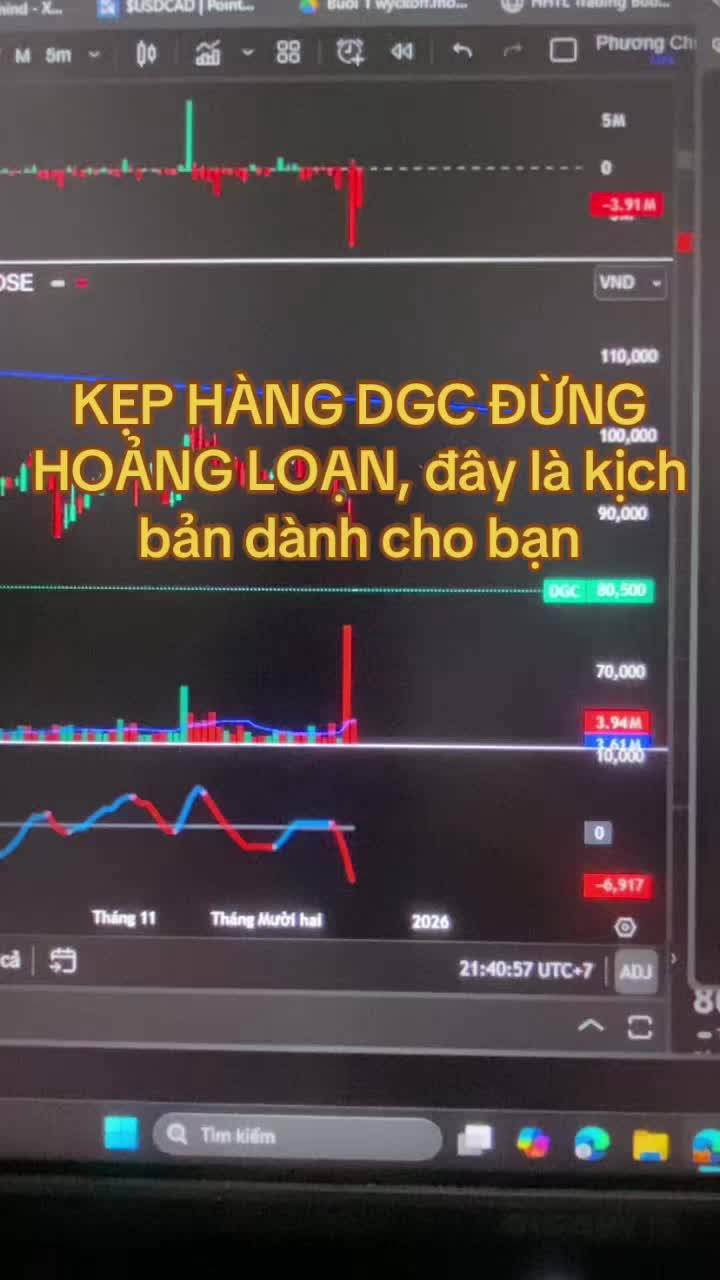 Cổ đông DGC nên xem