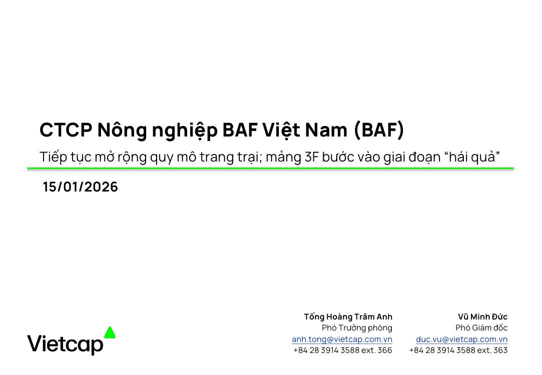 BAF: Báo cáo cập nhật KQKD Q3/2025