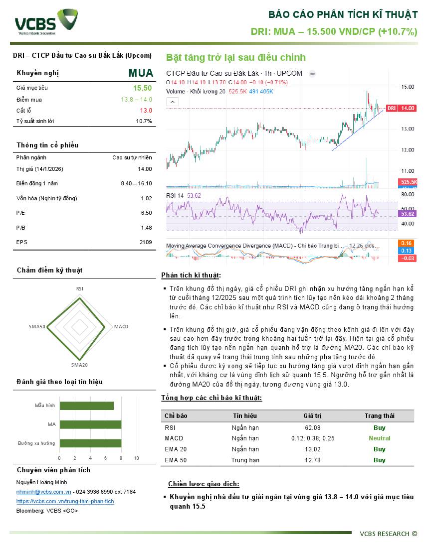 DRI: Báo cáo Phân tích kỹ thuật