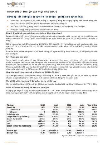 BAF: Báo cáo cập nhật KQKD Q4/2025