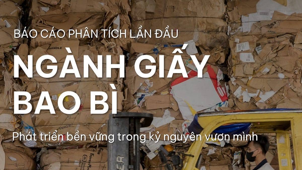 Phát triển bền vững trong kỷ nguyên vươn mình - Báo cáo phân tích lần đầu ngành giấy bao bì tại Việt Nam