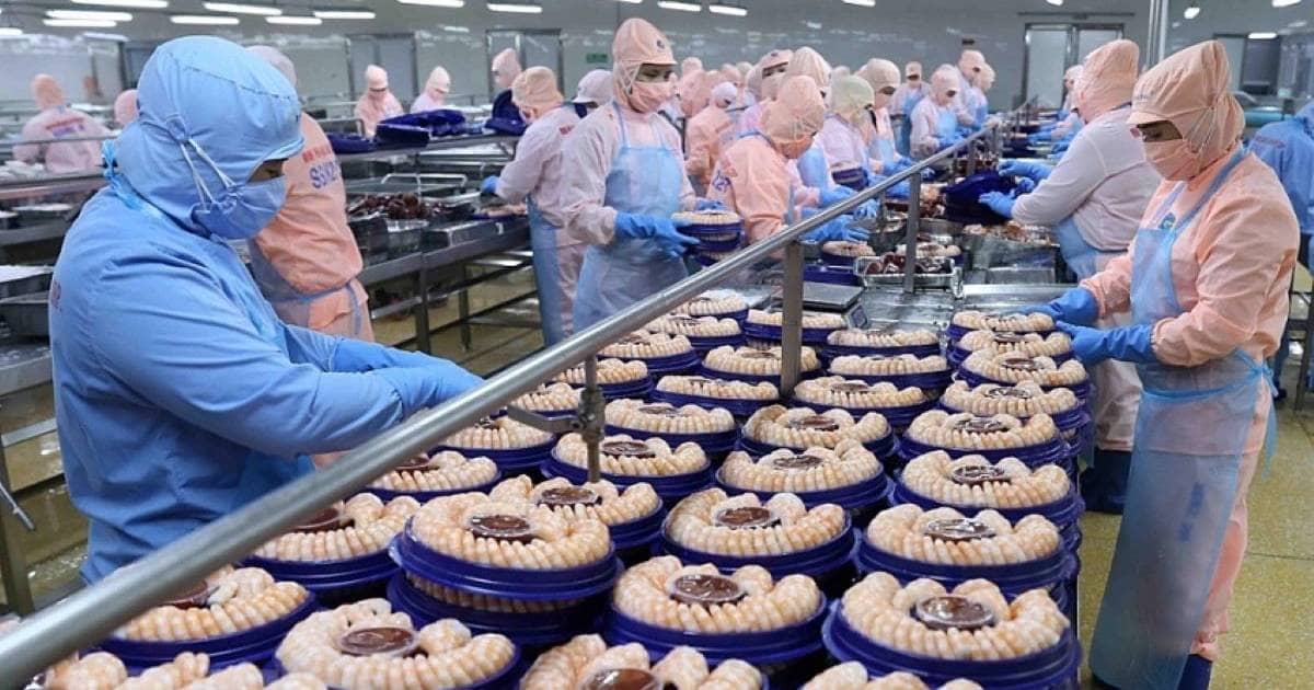 Thuế giảm nhưng chưa dễ thở: Tôm Việt đối mặt cuộc đua khốc liệt tại Mỹ