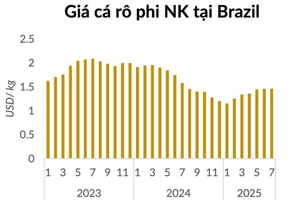 ANV – Khi lợi thế cấu trúc chuyển hóa thành chu kỳ lợi nhuận