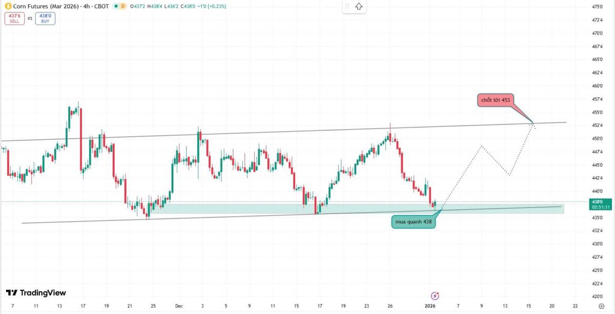 📈 [CẬP NHẬT NGÔ (ZCEH26 – KỲ HẠN 03/2026) – H4 | CƠ HỘI MUA TẠI VÙNG HỖ TRỢ] – 05/01/2026. ✍️Xu hướng  ...