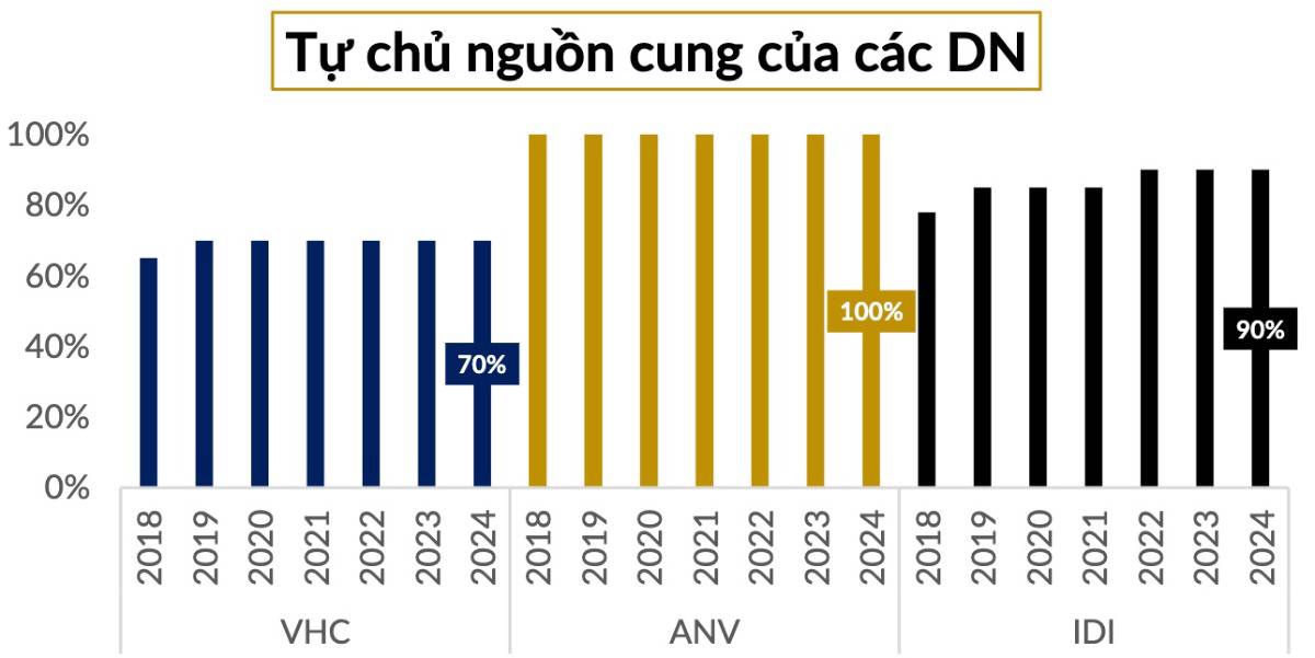 ANV – Khi lợi thế cấu trúc chuyển hóa thành chu kỳ lợi nhuận
