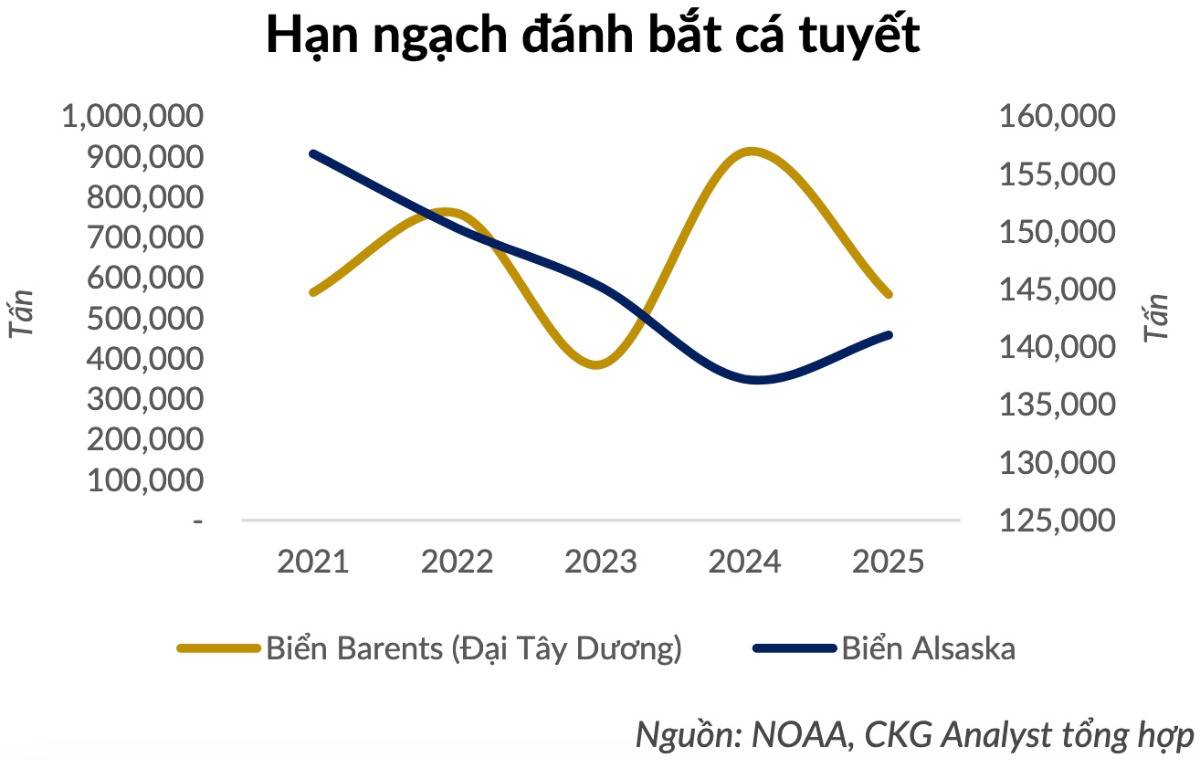 ANV – Khi lợi thế cấu trúc chuyển hóa thành chu kỳ lợi nhuận