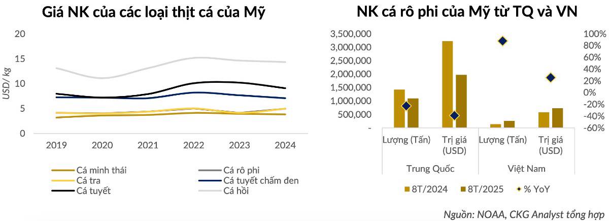 ANV – Khi lợi thế cấu trúc chuyển hóa thành chu kỳ lợi nhuận