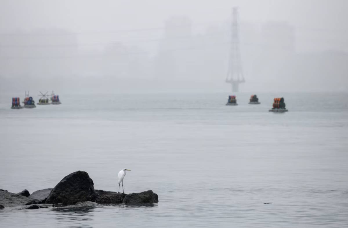 Các nhà phân tích cho rằng cuộc tấn công của Mỹ vào Venezuela sẽ củng cố các tuyên bố chủ quyền lãnh thổ của Trung Quốc, trong khi cuộc tấn công vào Đài Loan khó có khả năng xảy ra