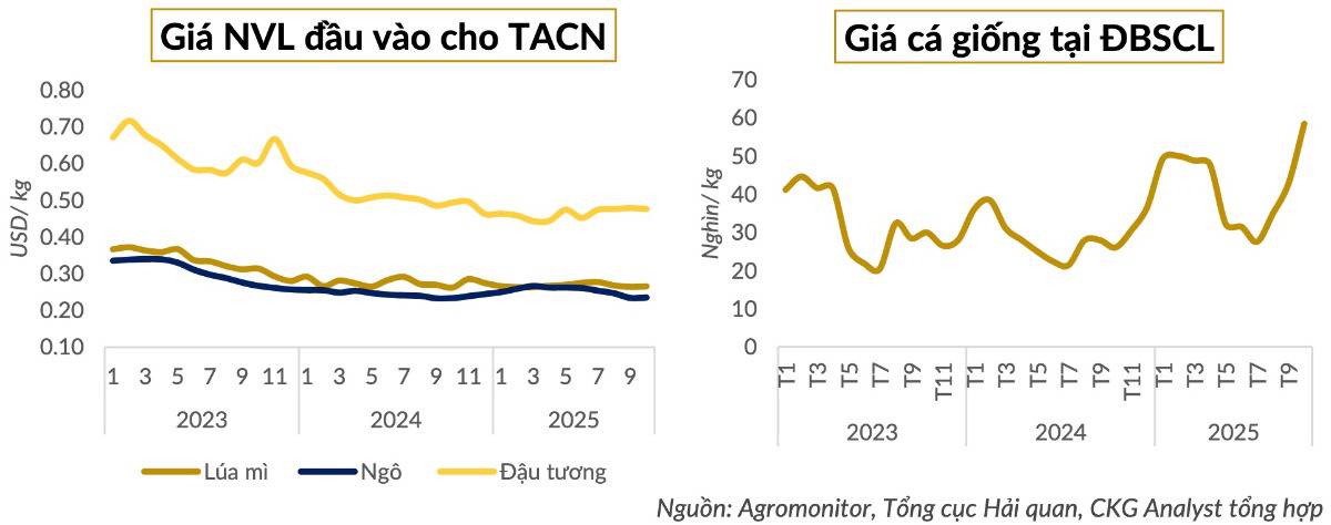 ANV – Khi lợi thế cấu trúc chuyển hóa thành chu kỳ lợi nhuận