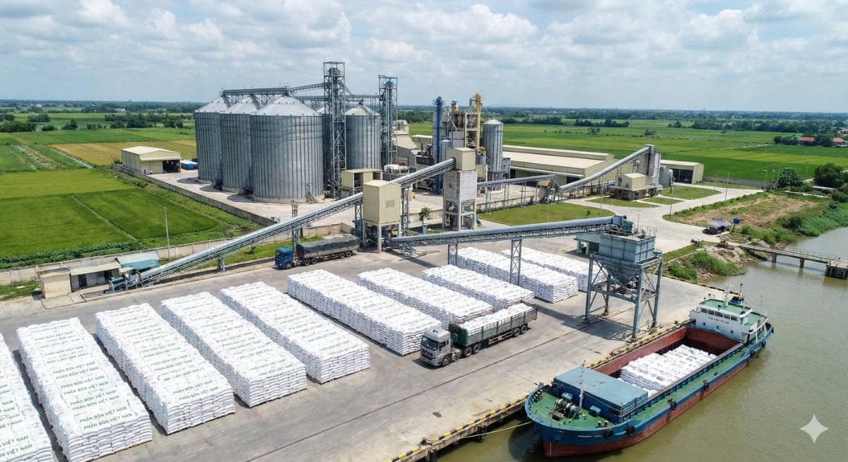 Ngành phân bón 2026: Tối ưu hóa lợi nhuận từ sự thay đổi cấu trúc chính sách