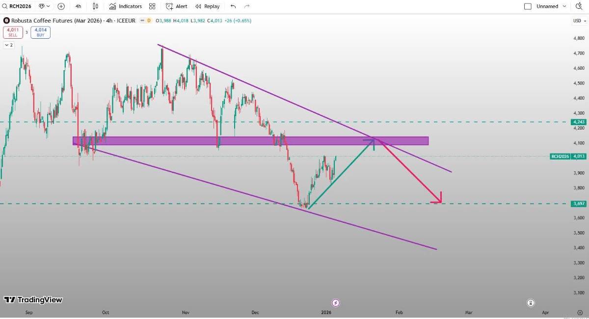 🛑CAFE ROBUSTA KỲ HẠN THÁNG 3/2026(LRCH26). 🔺Robusta kỳ hạn tháng 3/2026 đang quanh mốc 4,007$/tấn,đà  ...