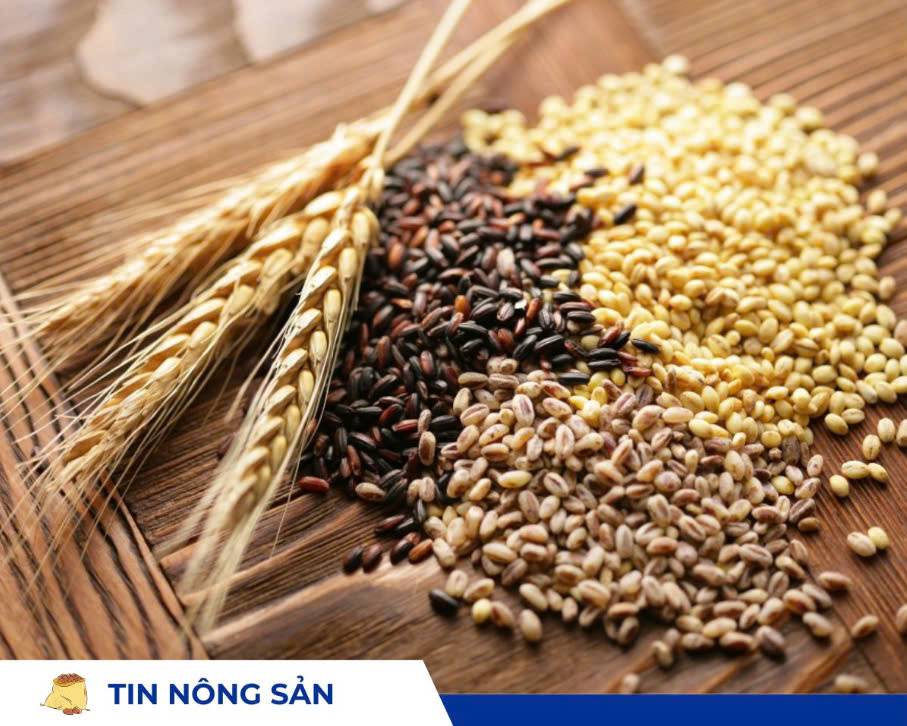 Lo ngại hạn hán lúa mì gia tăng, đậu tương và ngô chịu áp lực từ nguồn cung Nam Mỹ