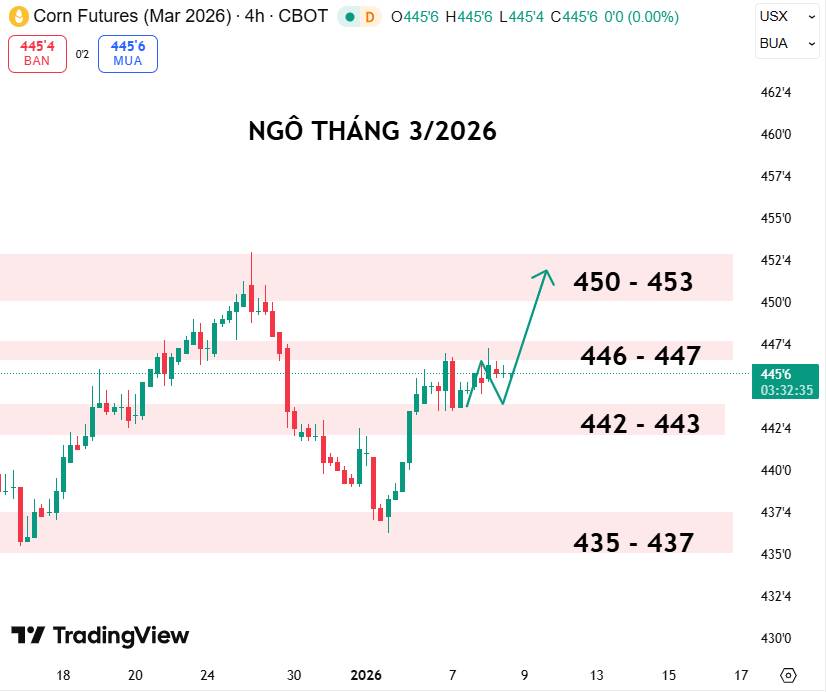 Ngô Kỳ Hạn Tháng 3/2026: Cơ Hội Tăng Trở Lại Sau Nhịp Tích Lũy. 1. Phân tích cơ bản. 2. Phân tích kỹ  ...