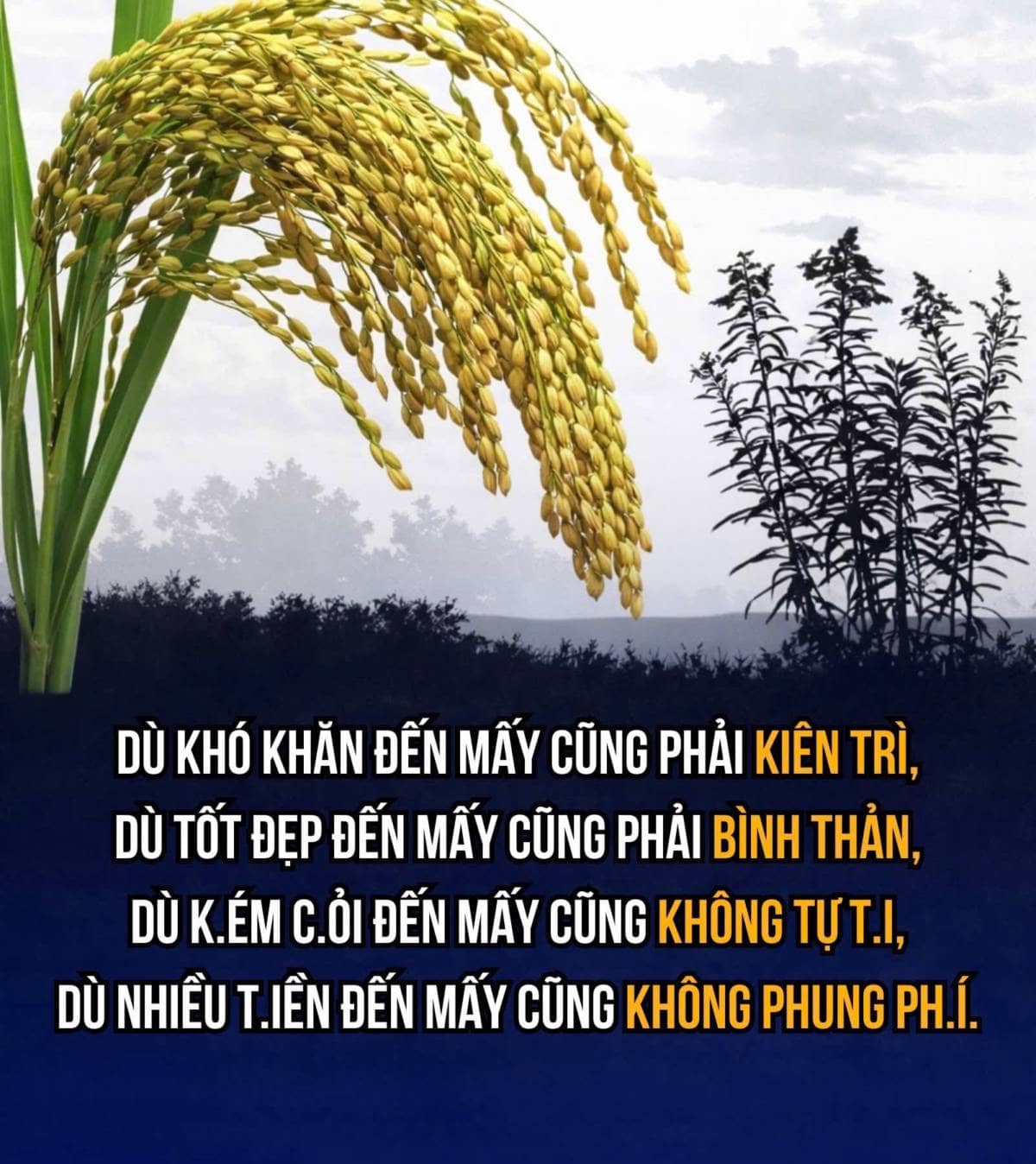 Dù khó khăn đến mấy cũng phải kiên trì, dù tốt đẹp đến mấy cũng phải bình thản, dù k.ém c.ỏi đến mấy  ...