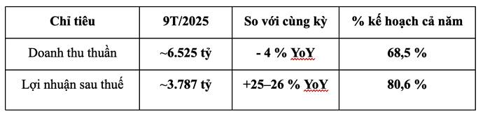 VHM, VRE, VPL: Khi vệ tinh quay nhanh hơn Mặt trời VIC