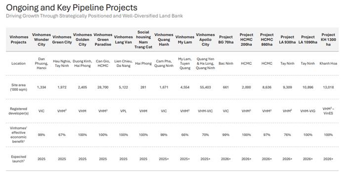 VHM, VRE, VPL: Khi vệ tinh quay nhanh hơn Mặt trời VIC