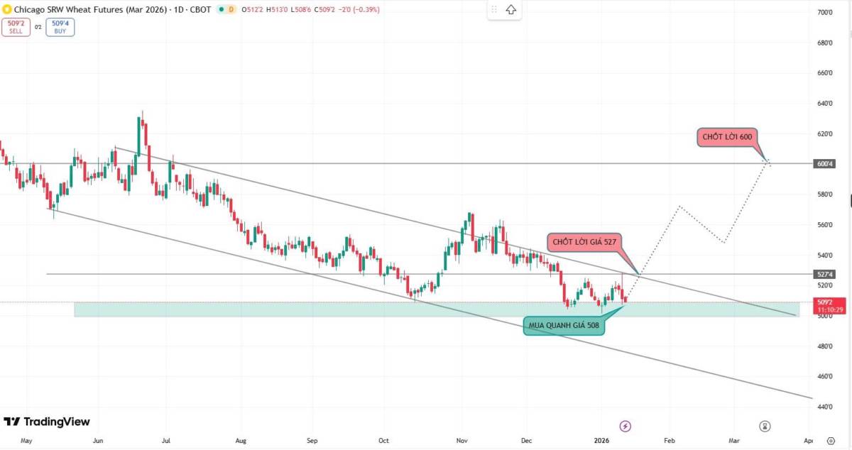 🛑CẬP NHẬT LÚA MÌ ZWAH26 (CBOT – KỲ HẠN 03/2026) – H4 | ĐIỀU CHỈNH VỀ VÙNG MUA LÝ TƯỞNG – 13/01/2026.  ...