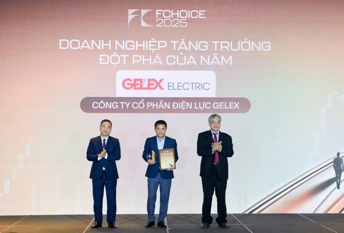 GELEX được vinh danh “Tập đoàn Đầu tư đa ngành của năm”