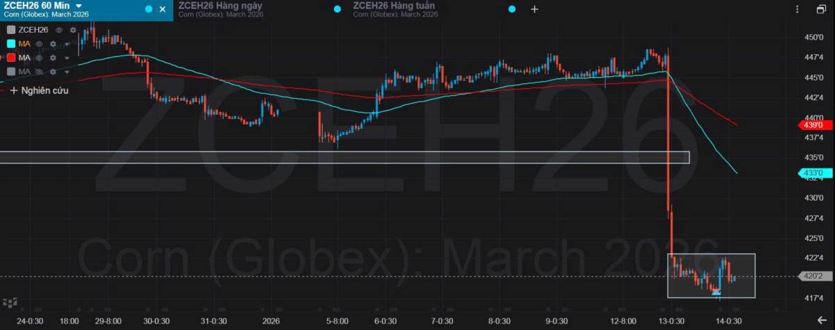 Bản Tin Nhóm Nông Sản Ngày 14/01/2026