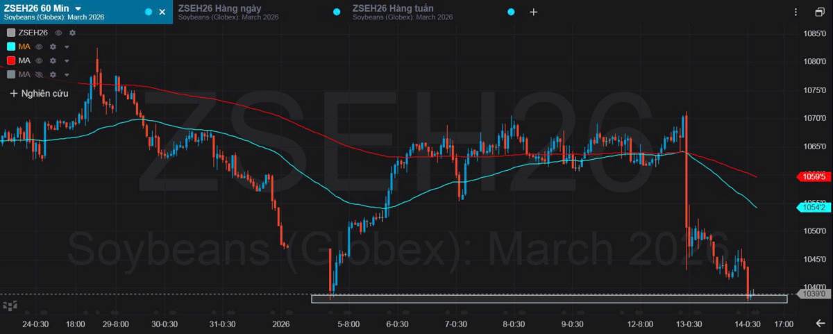 Bản Tin Nhóm Nông Sản Ngày 14/01/2026