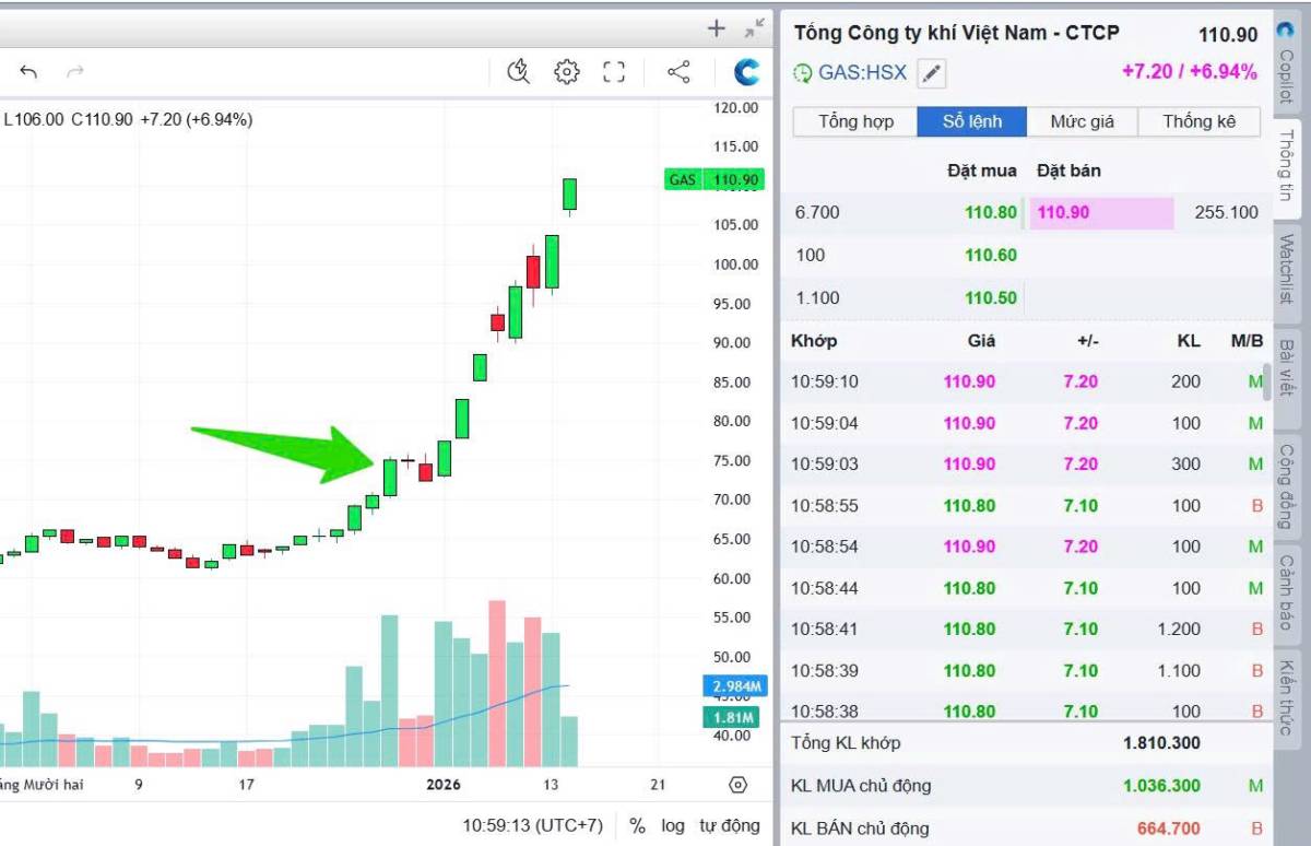 Top 6 thần sóng "trần tím" 2026 (GAS, BSR, VCB, BID, VGI, CTR)