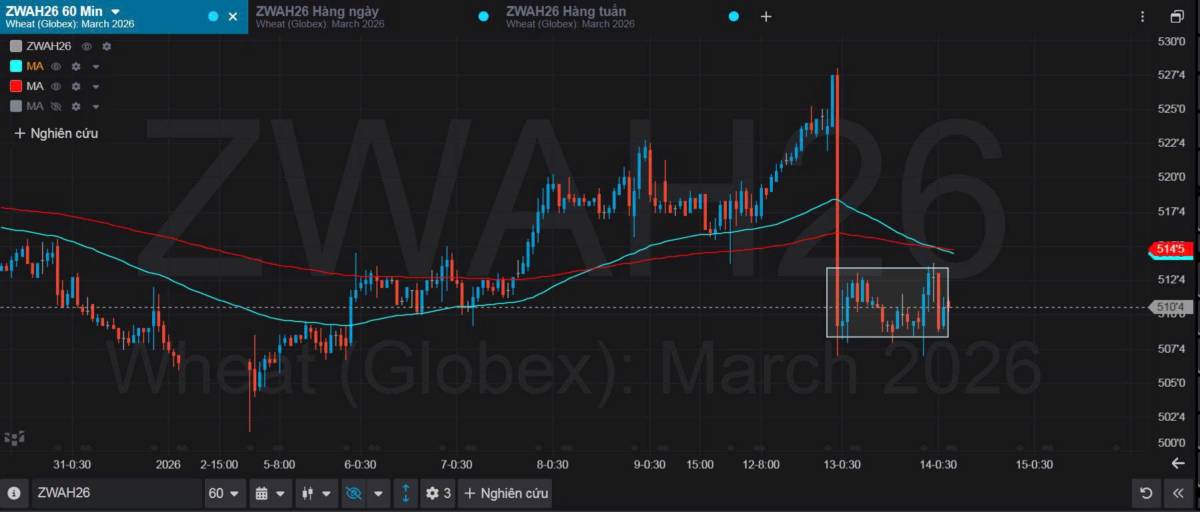 Bản Tin Nhóm Nông Sản Ngày 14/01/2026