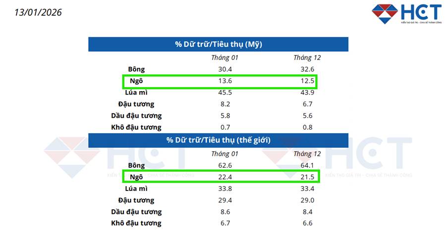 Ngô Tháng 3/2026: Áp Lực Cung Tăng Mạnh, Giá Rơi Về Vùng Đáy Ngắn Hạn
