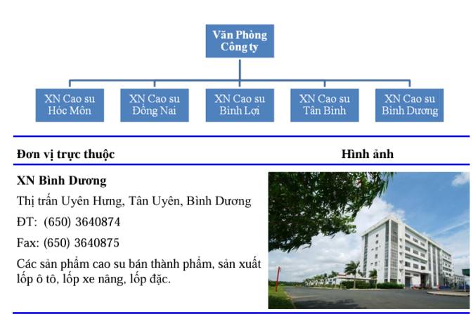 CSM - Chờ ngày tỏa sáng