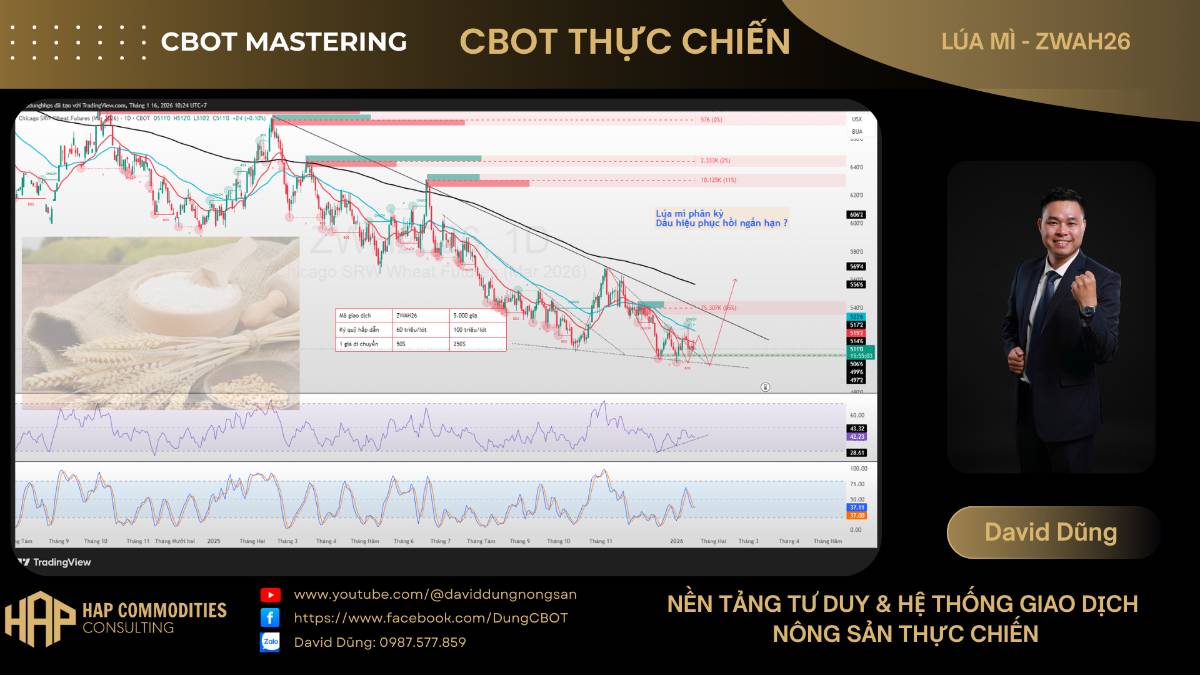 LÚA MÌ CBOT – PHÂN TÍCH HÔM NAY. 1. Thị trường & Giá hiện tại. Lúa mì CBOT (Mar 2026) giao dịch quanh  ...