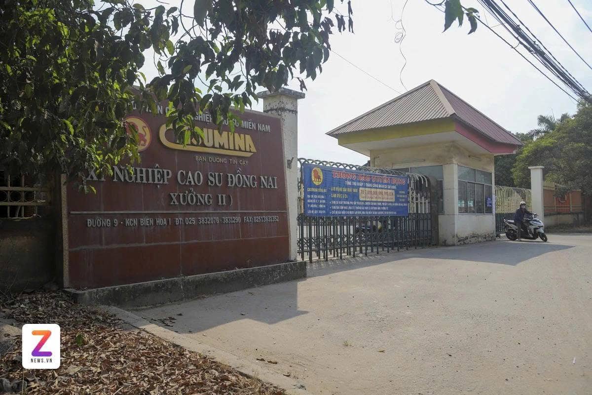 CSM - Chờ ngày tỏa sáng