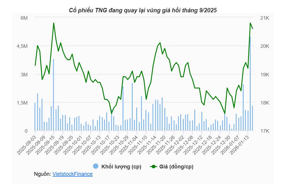 TNG khép năm 2025 với lợi nhuận cao nhất lịch sử, cổ phiếu phục hồi tích cực