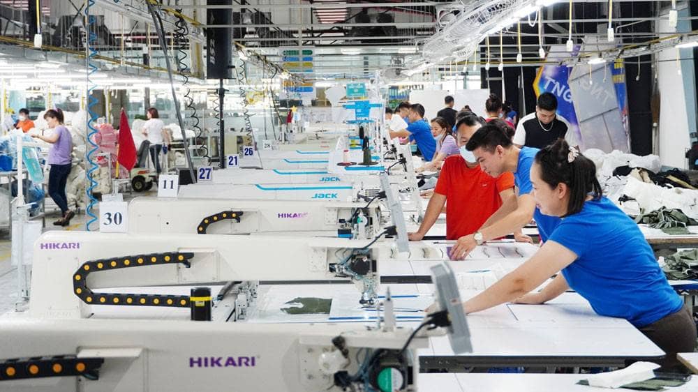 TNG khép năm 2025 với lợi nhuận cao nhất lịch sử, cổ phiếu phục hồi tích cực