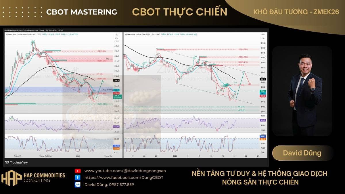 Khô đậu tương ZMEK26. Khô đậu tương đang hồi kỹ thuật sau nhịp giảm mạnh, nhưng cấu trúc D1 vẫn là xu  ...