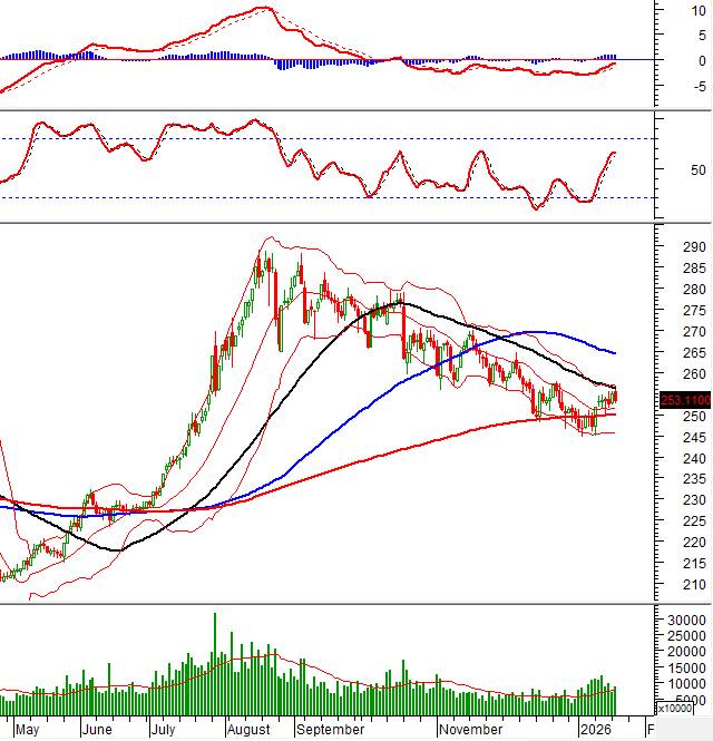 Top 2 mã cổ phiếu chỉnh là có thể tham gia , mai dễ trần