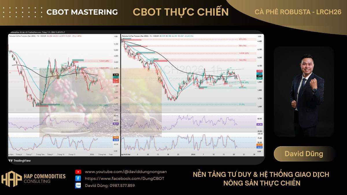 Cà phê Robusta. “Robusta đã thất bại tại vùng cung và đang quay lại xu hướng giảm. Khi giá còn nằm dưới  ...