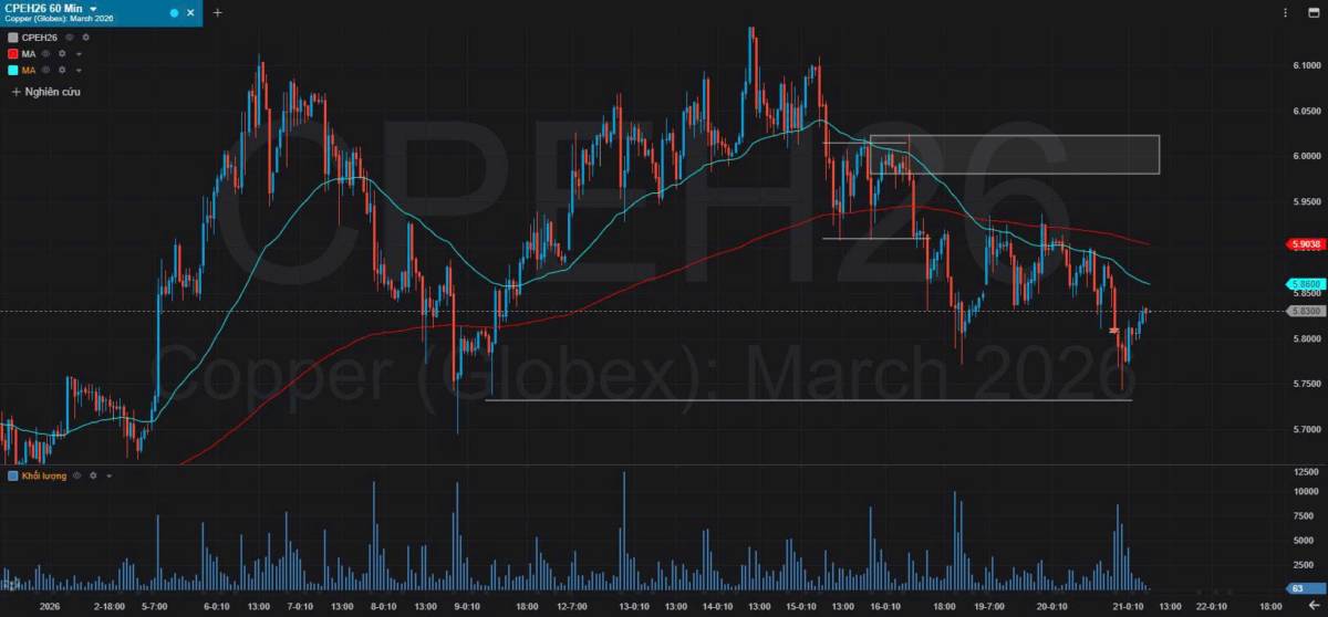 Bản Tin Nhóm Kim Loại Ngày 21/01/2026