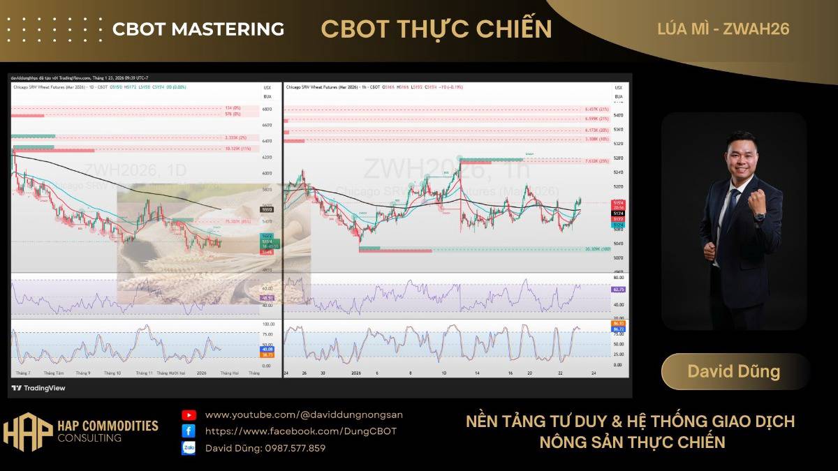 🌾 LÚA MÌ CBOT – PHÂN TÍCH D1 & H1. 1. Thị trường & Giá hiện tại. Lúa mì CBOT (Mar 2026) đang giao dịch  ...