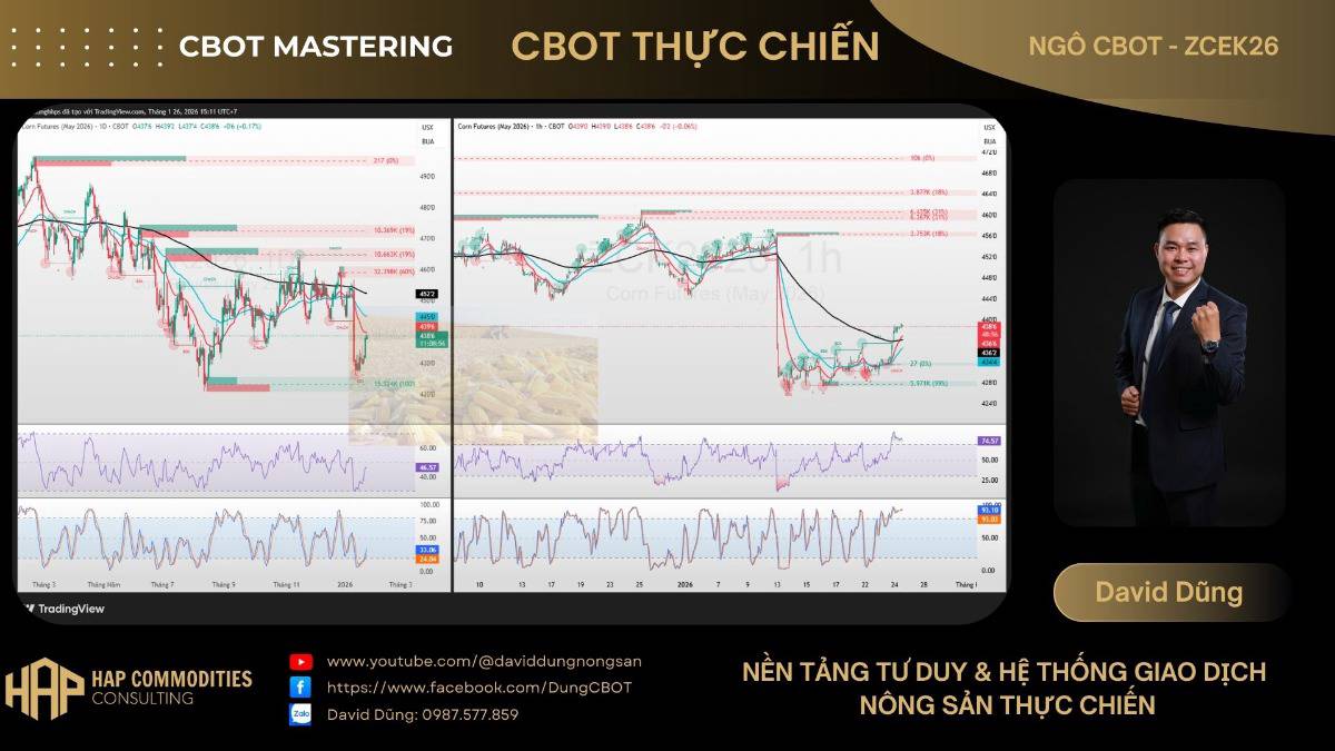 NGÔ CBOT – PHÂN TÍCH TIÊU CHUẨN. 1. Thị trường & thị giá. Ngô CBOT (HĐ May) đang quanh 4380–4390.. Sau  ...