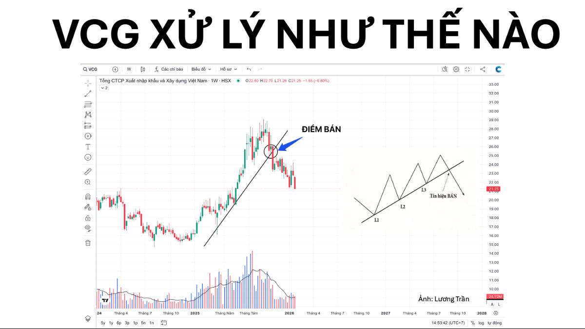 VCG kẹp hàng xử lý như thế nào?