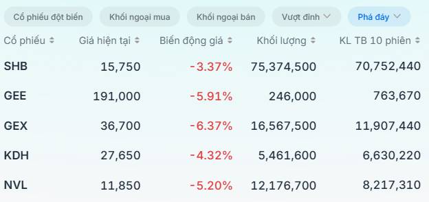 Liệu thị trường còn dư địa cho những nhà đầu tư vừa lỡ nhịp?