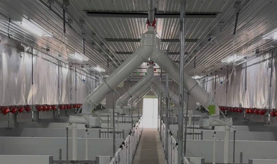 BAF - Tham vọng top thị phần chăn nuôi vào 2030